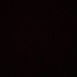 Meet your Posher, Latisha